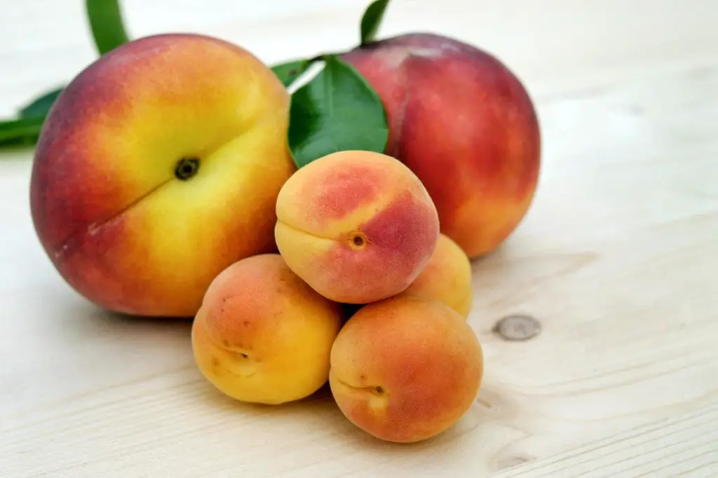 Small Peaches Laying Inside