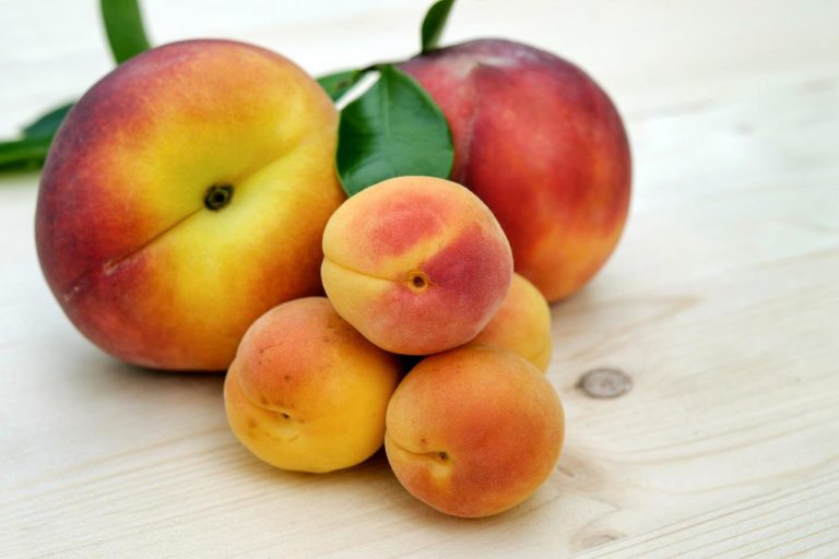 apricots, sugar apricots, peach-2527193.jpg