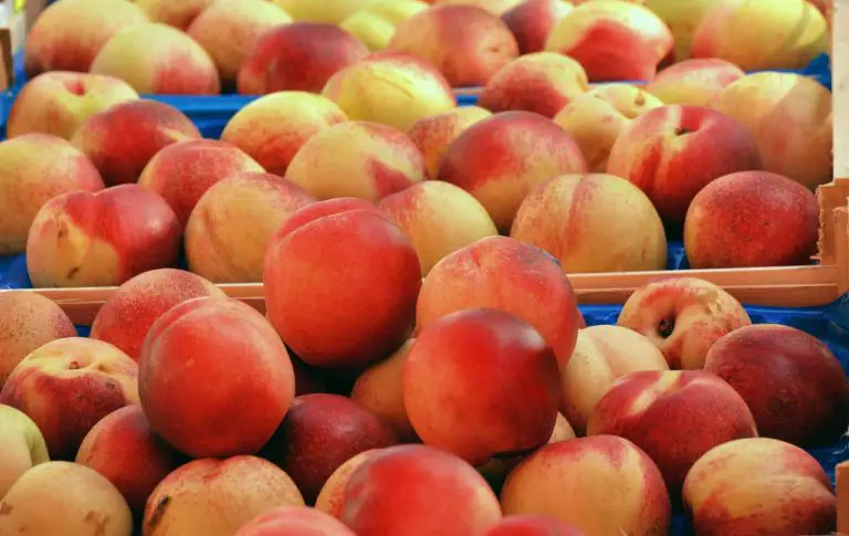 peaches, fruit, food-3231448.jpg