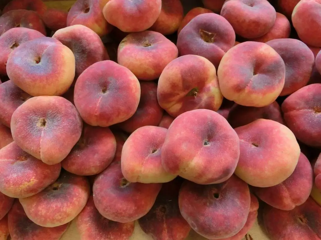 Harvested Peaches Laying Inside