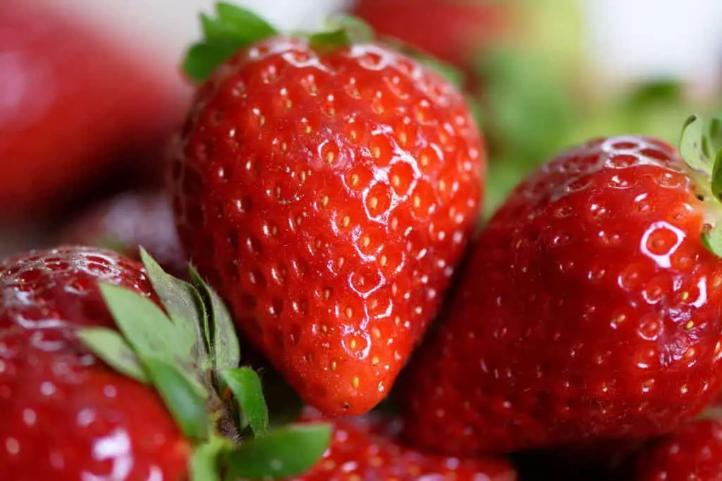 Fresh Strawberries Indoors
