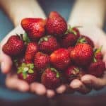 strawberries, hands, harvest-1835934.jpg