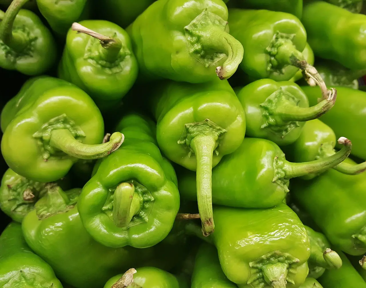 anaheim peppers, chiles, chili peppers-1342986.jpg