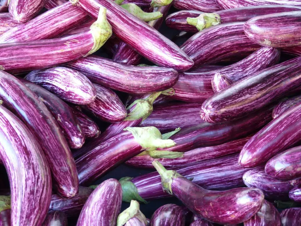 eggplant, mark, purple-73906.jpg