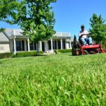 lawn care, lawn maintenance, lawn services-643556.jpg