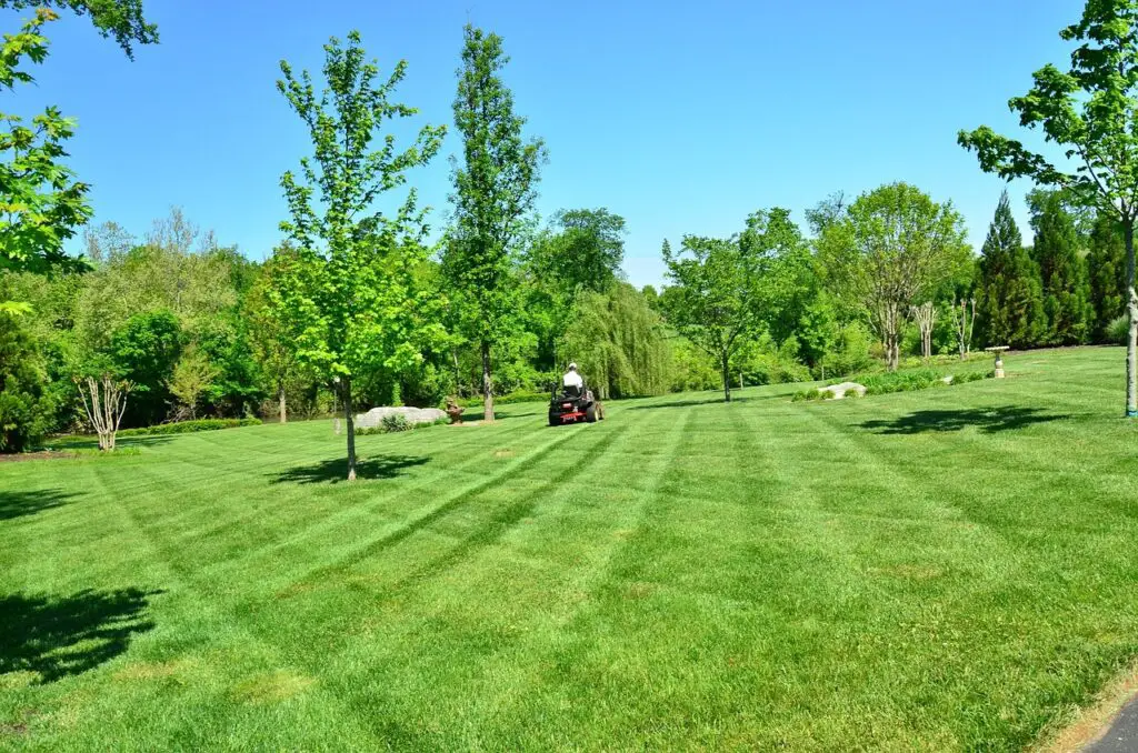 lawn care, lawn maintenance, lawn services-643557.jpg