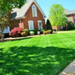 lawn care, lawn maintenance, lawn services-643561.jpg