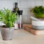 herb, spices, rosemary-4222297.jpg
