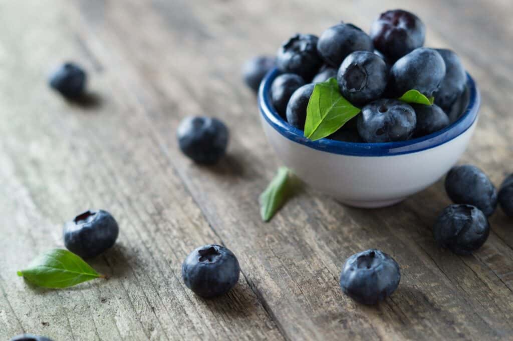 blueberries, fruits, food-4011294.jpg