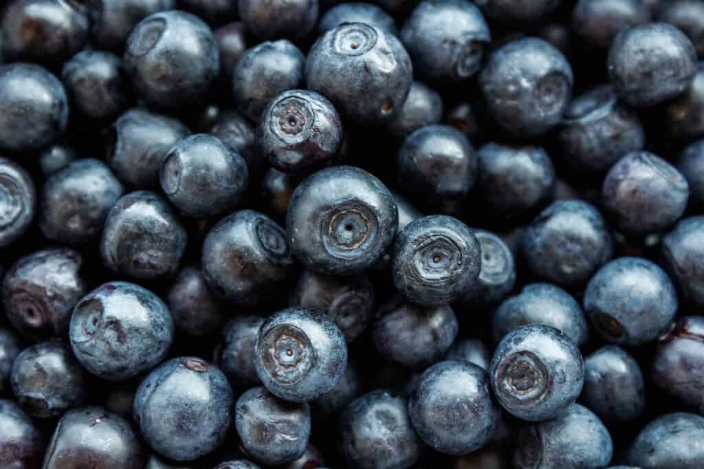 blueberry, berry, fruit-5417154.jpg