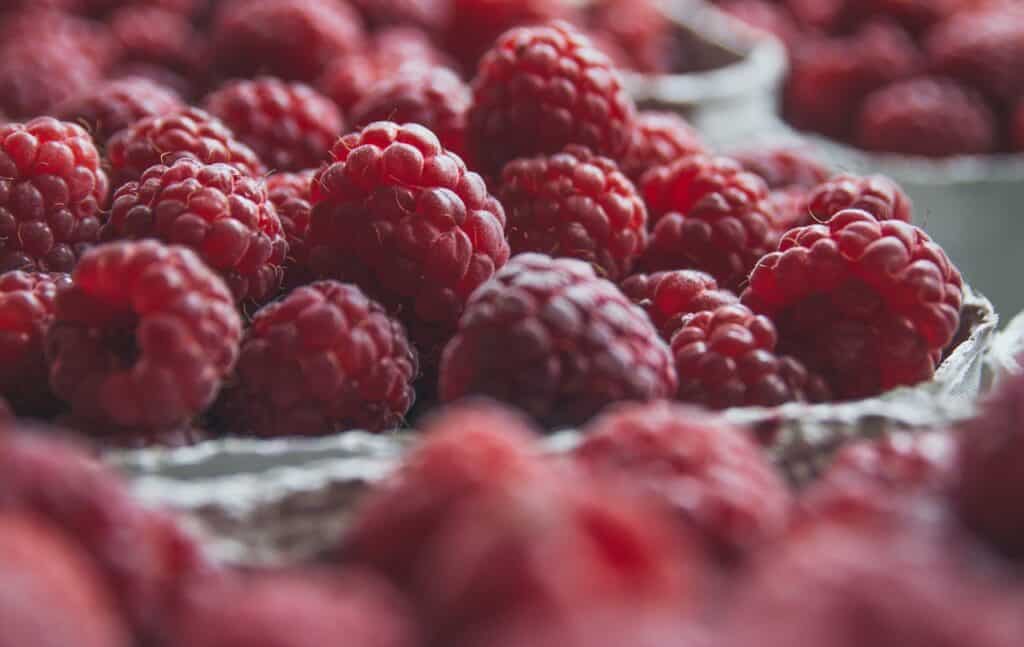 raspberries, fruits, food-2650342.jpg