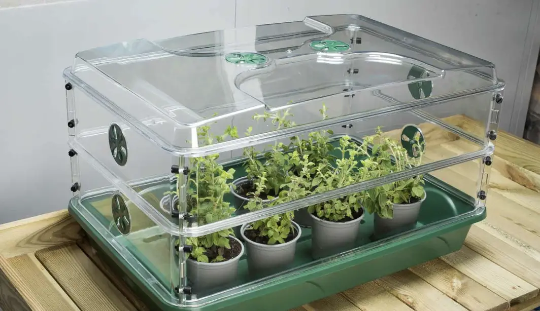 How To Use A Propagator For Sowing Seeds